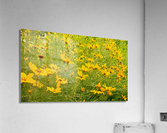 V192 Acrylic Print