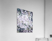 V199 Acrylic Print