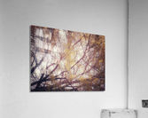 V201 Acrylic Print