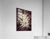 V205 Acrylic Print