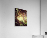V206 Acrylic Print