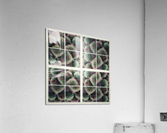 V207 Acrylic Print