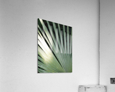 V214 Acrylic Print