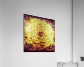 V218 Acrylic Print