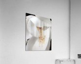 V221 Acrylic Print