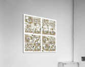 V225 Acrylic Print