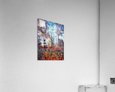 V226 Acrylic Print