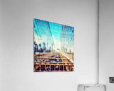 V229 Acrylic Print