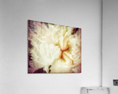 V232 Acrylic Print