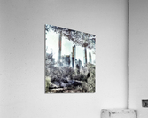 V233 Acrylic Print