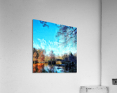 V234 Acrylic Print