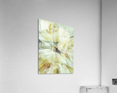 V240 Acrylic Print