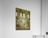 V243 Acrylic Print