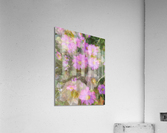 V244 Acrylic Print