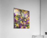 V246 Acrylic Print