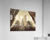 V251 Acrylic Print