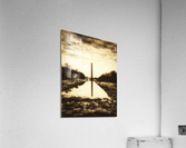 V260 Acrylic Print