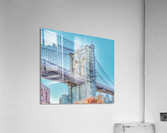 V263 Acrylic Print