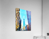 V265 Acrylic Print