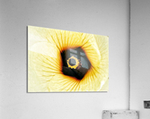V282 Acrylic Print