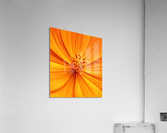 V284 Acrylic Print
