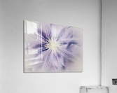 V285 Acrylic Print