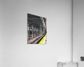V289 Acrylic Print