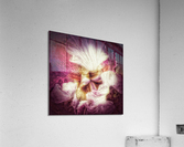 V291 Acrylic Print