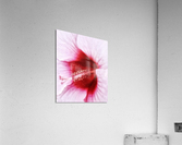 V292 Acrylic Print