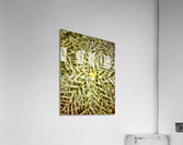 V302 Acrylic Print