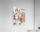 V303 Acrylic Print