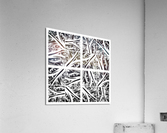 V305 Acrylic Print