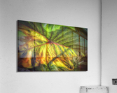 V306 Acrylic Print
