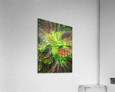 V307 Acrylic Print
