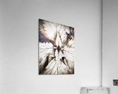 V312 Acrylic Print