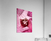 V314 Acrylic Print