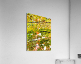 V321 Acrylic Print