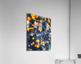 V324 Acrylic Print