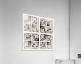 V326 Acrylic Print