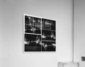 V330 Acrylic Print