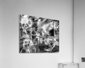V340 Acrylic Print