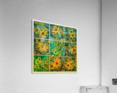 V344 Acrylic Print