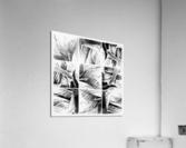 V346 Acrylic Print