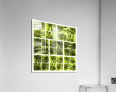 V347 Acrylic Print