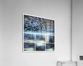V350 Acrylic Print