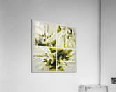V351 Acrylic Print
