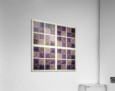 V352 Acrylic Print