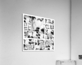 V353 Acrylic Print