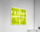 V354 Acrylic Print