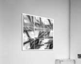 V355 Acrylic Print